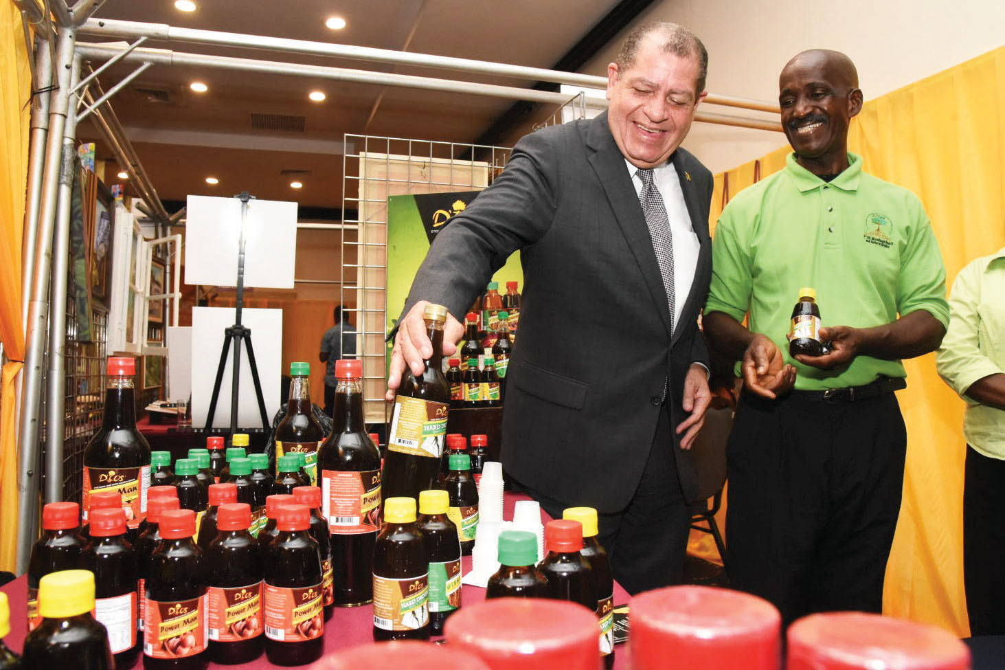 Strengthening the Business Environment