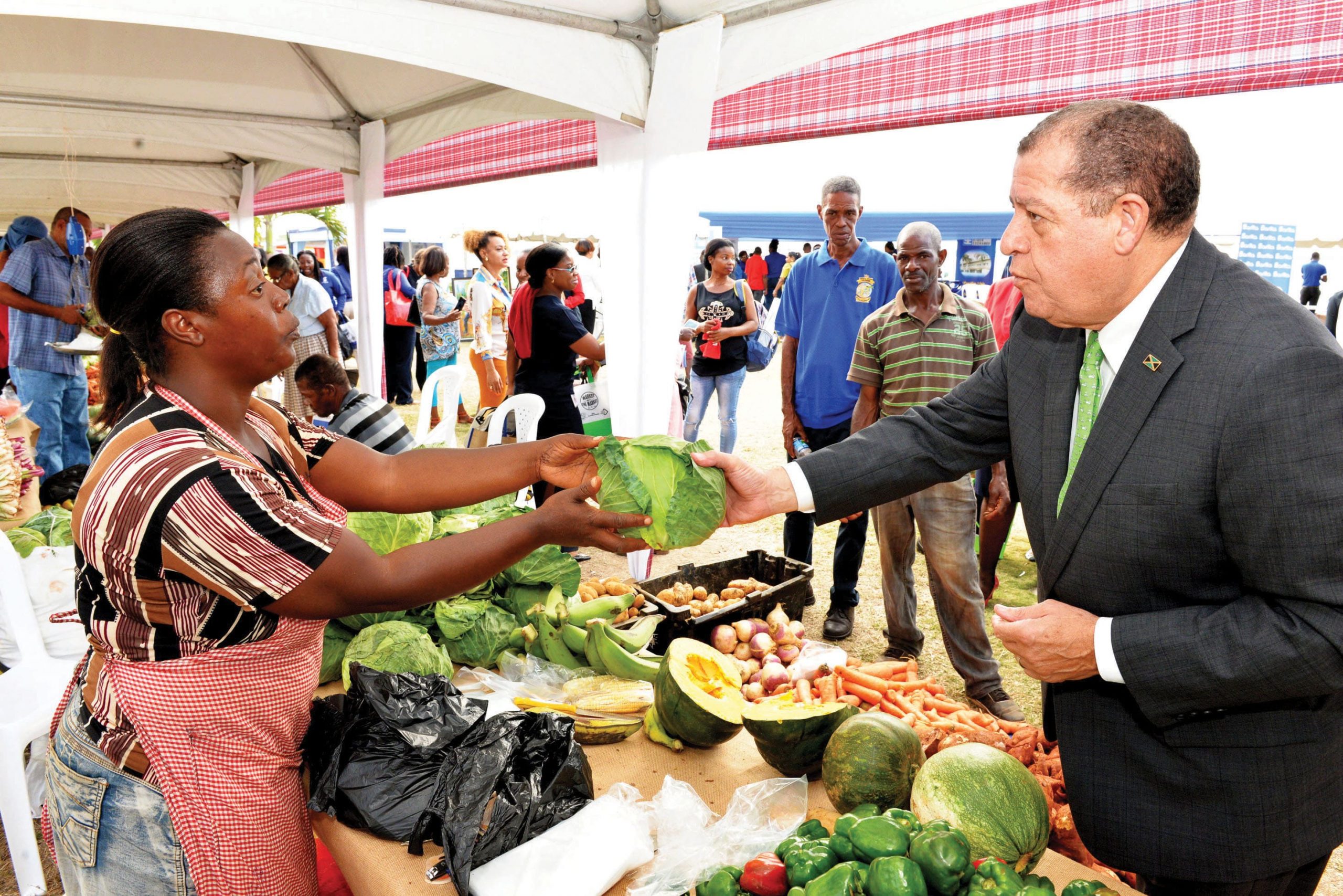 Boosting Agriculture