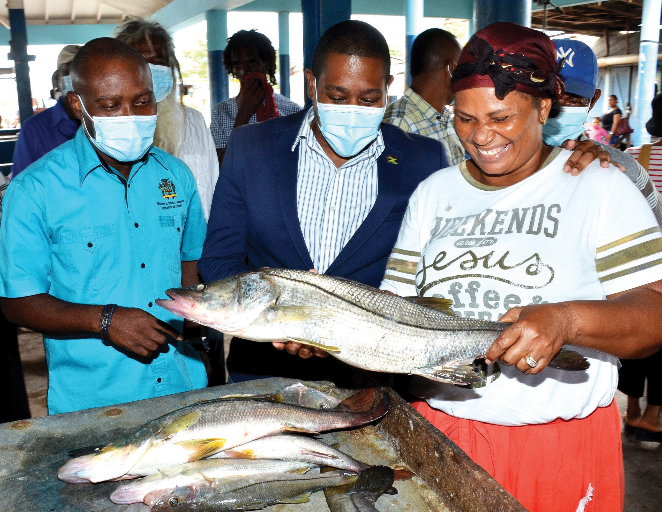 Support for Fisheries Sector