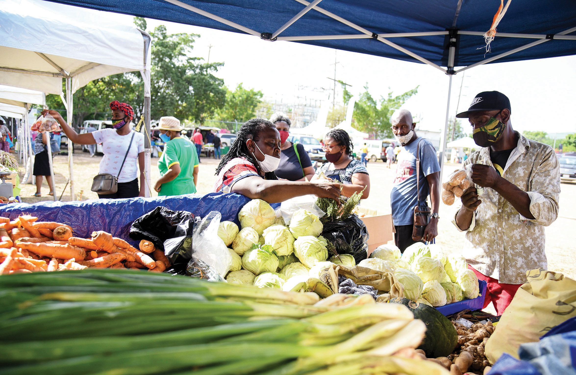 Gov’t Provides Hundreds of Millions to Assist Farmers
